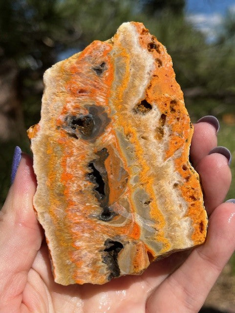 Bumblebee Jasper Lapidary Slab supplies stone bright